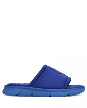 Blue Naked Wolfe Arizona Royal Men's Slides | IRELAND 4603287FU