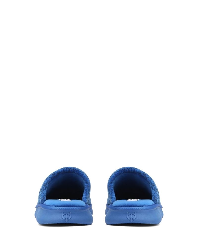 Blue Naked Wolfe Ohio Men's Slippers | IRELAND 2479365VB