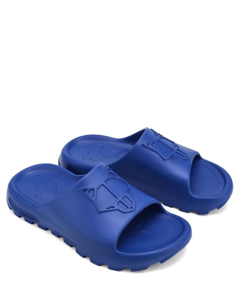 Blue Naked Wolfe Tommy Men's Slides | IRELAND 4762859KP