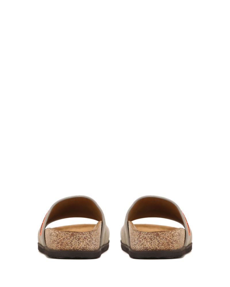 Grey Brown Naked Wolfe Moody Suede Men's Slides | IRELAND 3487150UZ